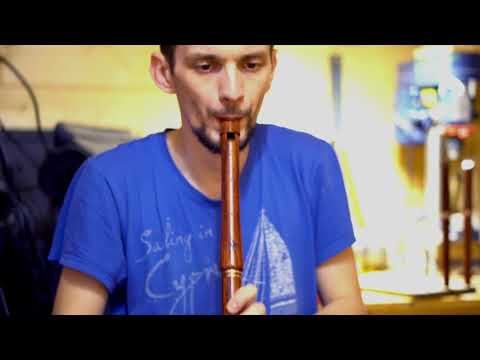 Low whistle D key rosewood