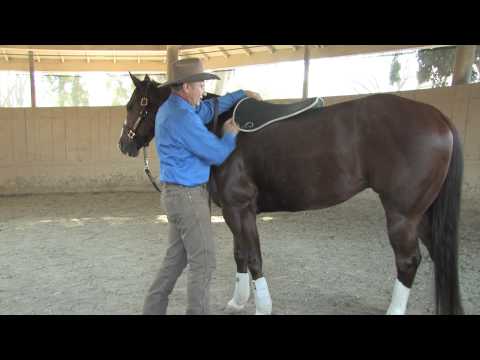 Ask Monty Roberts: Cavallo Saddle Pads Part 2