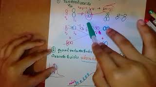 แนวคิดเกี่ยวกับการเกิดปฏิกิริยาเคมี ม.5 ep.1|c cream tutor