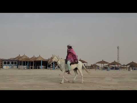Mauritania Beach ⛱ Nicola#mauritanie #westafrica #beachlife