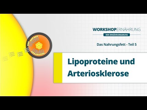 FETT (5/6): Die Lipoproteine (LDL, HDL, VLDL) | Workshop Ernährung