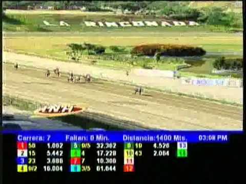 Resumen Domingo, 27 de Octubre de 2013 - La Rinconada