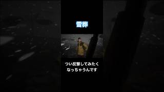 つい反撃してみたくなっちゃうんです【雪葬】#shorts