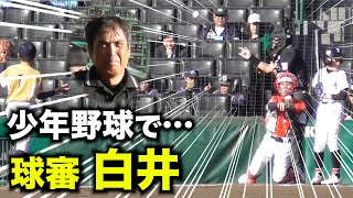 [分享] 日本職棒裁判白井一行擔任少棒賽主審