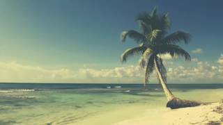 [SUMMER 2017] music: Palm Tree by Chancellor