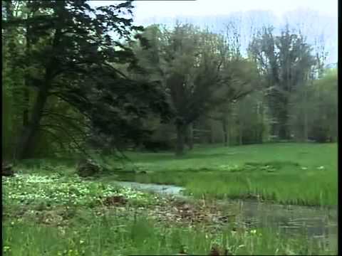 Hitlers Helfer   Heinrich Himmler   Der Vollstrecker Doku über Himmler Teil 4