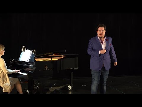 FGO PREVIEW: EL MATRIMONIO SECRETO (Escuchen todos, escuchen)