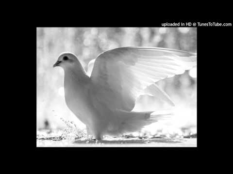 Today's Tango Is... Palomita Blanca – Francisco Canaro 17-12-1941