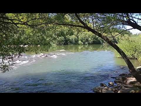 Lonquimay Araucanía Chile 