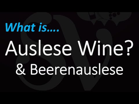 download lagu mp3 mp4 Beerenauslese Rheinhessen Wine, download lagu Beerenauslese Rheinhessen Wine gratis, unduh video klip Beerenauslese Rheinhessen Wine