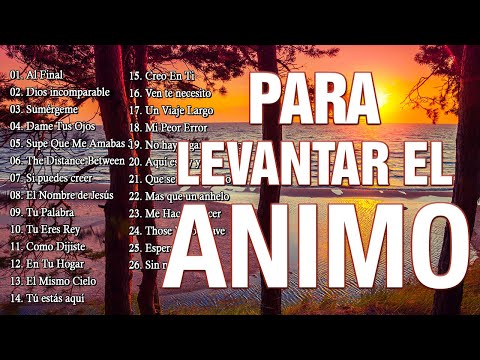 MÚSICA CRISTIANA PARA LEVANTAR EL ÁNIMO 2022 - ALABANZAS PARA ALIMENTAR EL ALMA - ADORACIÓN A DIOS