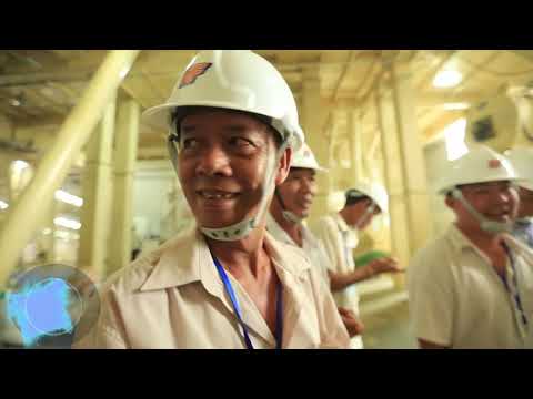 RICO FEED - TỔNG CÔNG TY