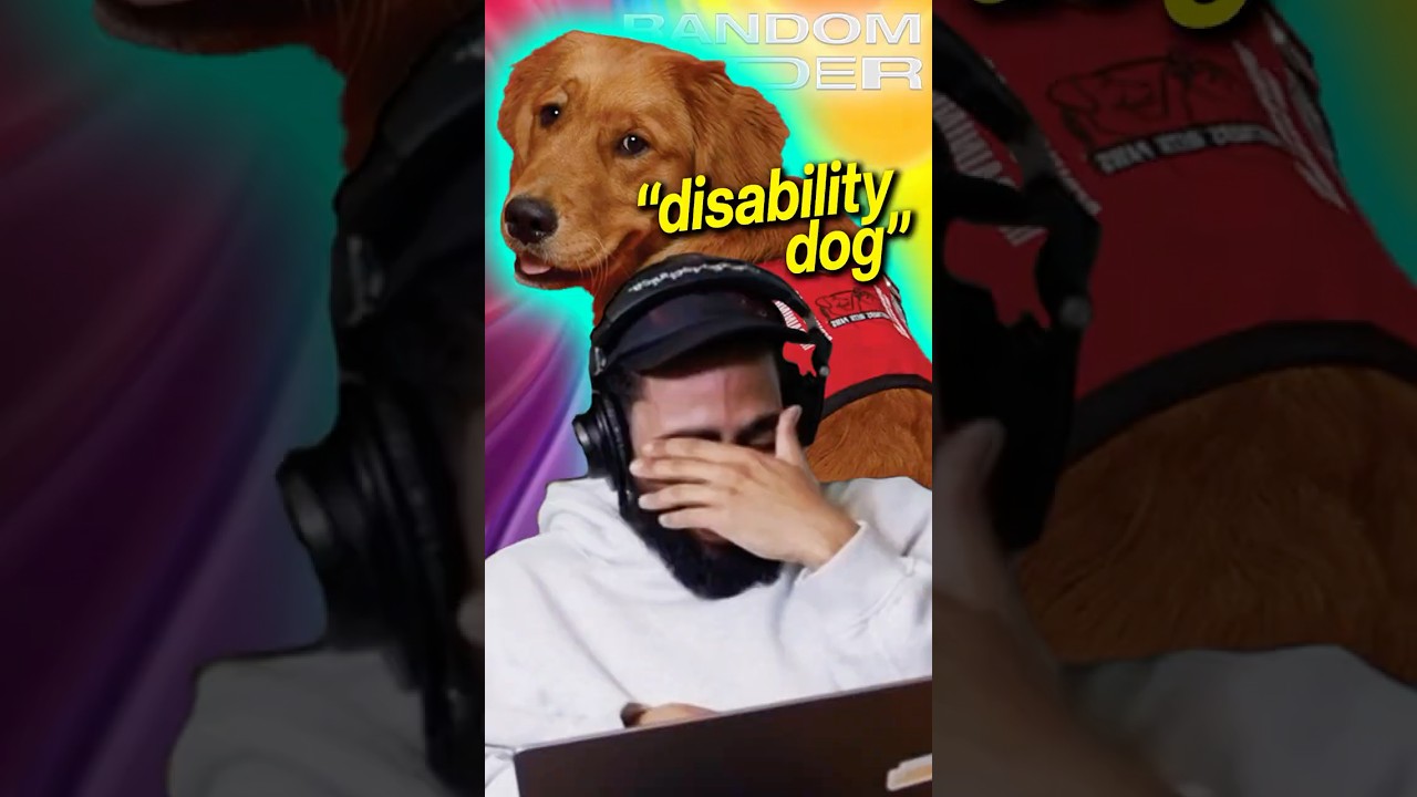 A Disability Dog Was In The Sauna!