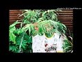 TOTAL FREEDOM X KELELA - SE BUSCA X LET ...