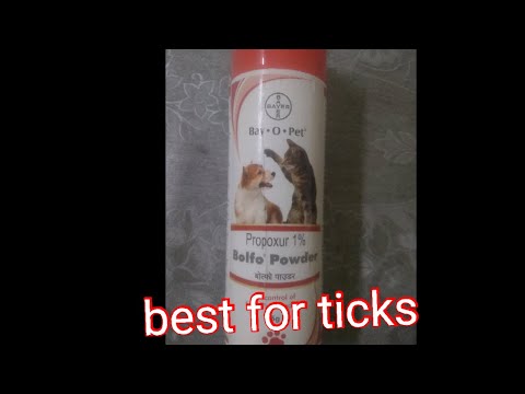 Best Powder for ticks