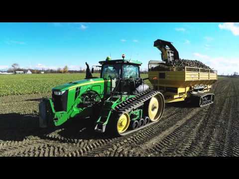 Shaw Farms Sugarbeet Harvest 2015