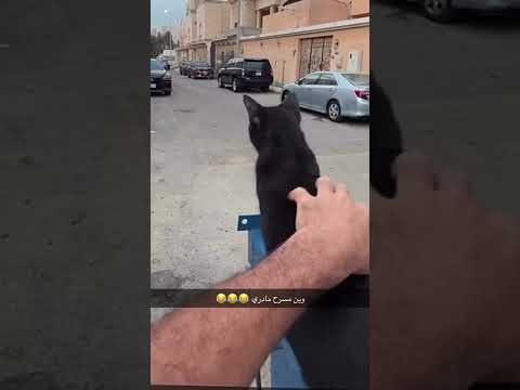 وين مسرح ما ادري 😂😂😂 #المغامر_عبدالله_العنبري #اكسبلور #adventures #رعب