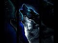 View 21 Cute Wallpapers Of Wolves