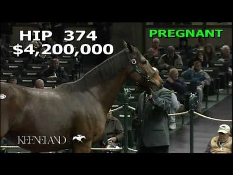2012 November Breeding Stock Sale - Hip 374, Changing Skies (IRE)