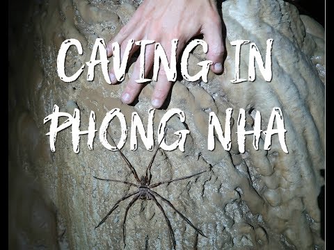3 Day Caving Expedition - Things to do Phong Nha, Vietnam