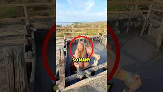 Why Are People SCARED To Go Into This Mud?😳😱