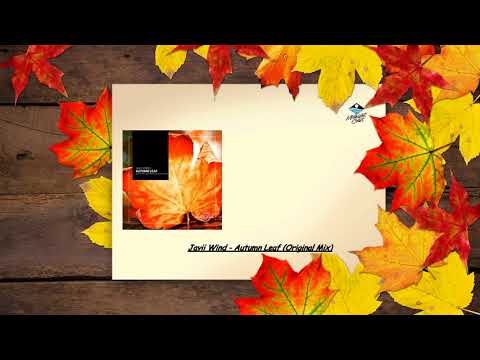 Javii Wind - Autumn Leaf (Original Mix) [Midnight Aurora]