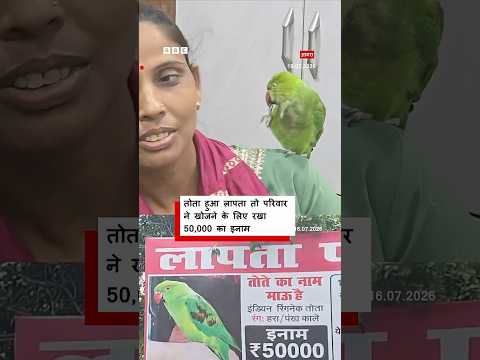 अपना पालतू तोता खोजने के लिए इस परिवार ने रखा 50 हज़ार रुपये का इनाम । (BBC Hindi)