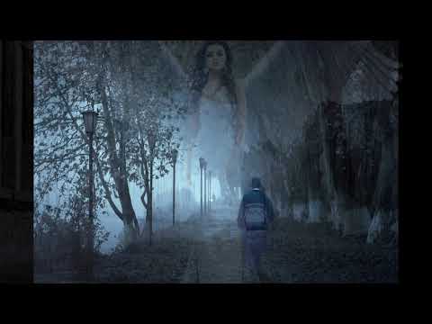 Nelu Slev - Softly As I Leave You