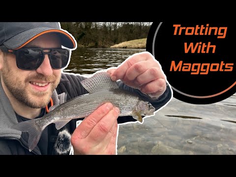 TOUGH Winter Day Trotting With Maggots