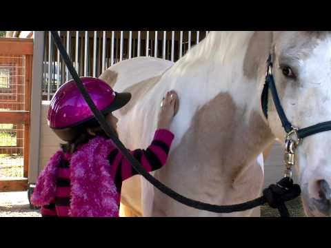 ManeGait Therapeutic Horsemanship – Sophie’s Story