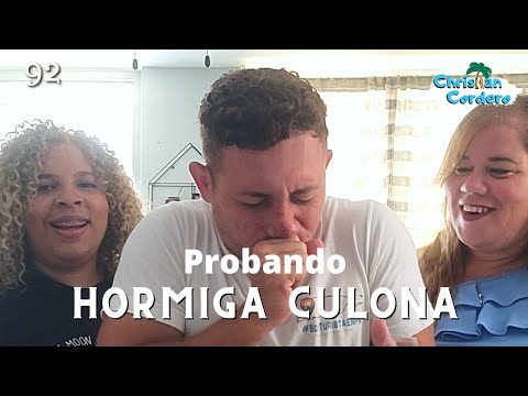 Comimos hormigas culonas colombianas