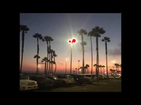 Palm Tree Sway - Systematic Sound, Ft. alX (Prod. By Dark Magic Productions)
