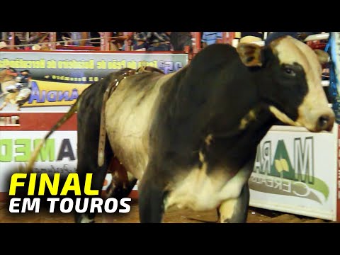 FINAL EM TOUROS - Rodeio de Herculândia 2013