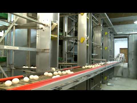 Kasselberger Hühnerhof im Kölner Norden