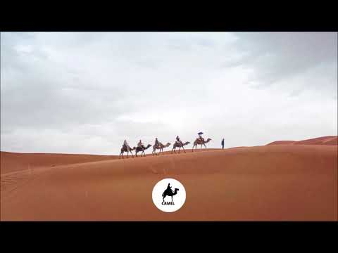Briansway & Gabieris - Ergon (Camel) (Cafe De Anatolia)
