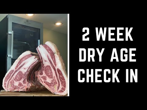 A Guide To Dry Aging: Rib Roast Experiment #shorts
