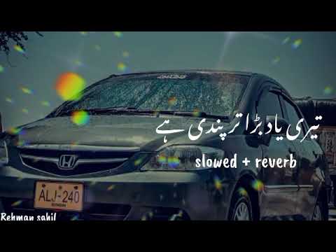 teri__yad_bara_tarpondi_he naseebo lal new song [slowed reverb]