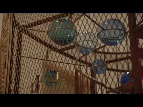 Exhibition — Louise Bourgeois: The Cells