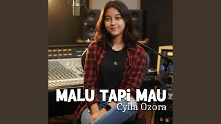Download lagu Malu Tapi Mau mp3 Download lagu Malu Tapi Mau mp3