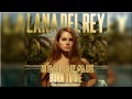 Lana del Rey - Born to die (RBN Remix) 