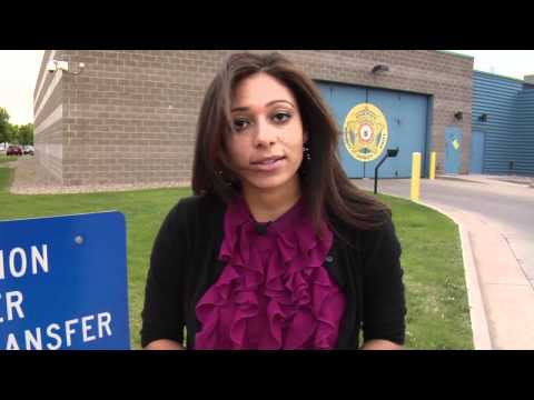 Avoid Common Pitfalls In El Paso County Cjc Inmate Search Process