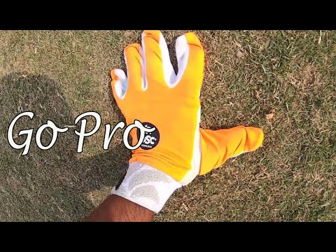 T20 Final Match Highlights [ Big Chase 186 Runs ] Old Stagers Vs Globex International