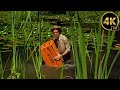 Bill Nye The Science Guy AMPHIBIANS S04E13 4K