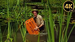 Bill Nye The Science Guy | Amphibians