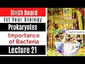 Importance Of Bacteria Bacterial Disease In Man Bacterial Disease In Plants 1st Year Biology