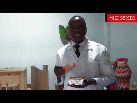 MIRACLE OF STONES TURNING INTO BREAD Part A