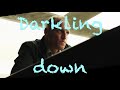 Walter Becker –  Darkling Down  (Becker / Larry Klein)