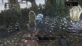 #5 [Bloodborne] このゲームにケリをつけようじゃないの