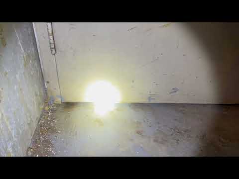 Mice Squeezing Underneath the Compactor Door in Fords, NJ