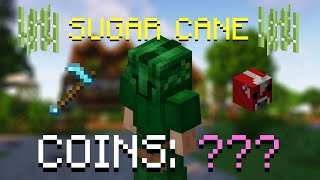 How much can you make from Farming Sugar cane with a cheap setup? (Hypixel Skyblock)